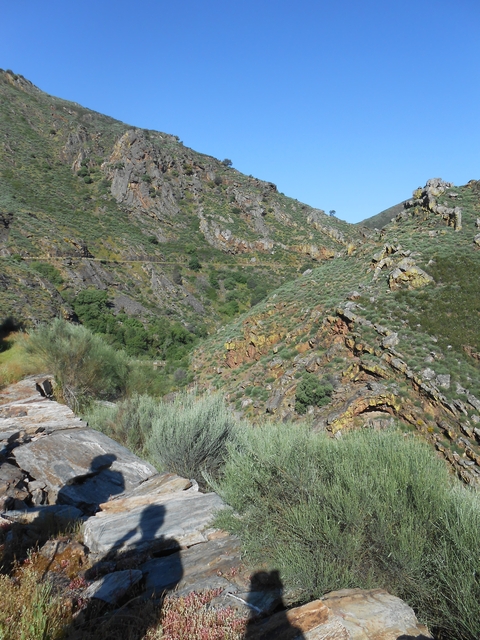 Rocky hillside landscape with green vegetation.