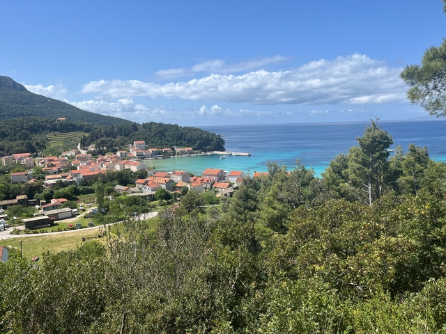 Aerial view of a coastal village with lush greenery and a blue sea.
