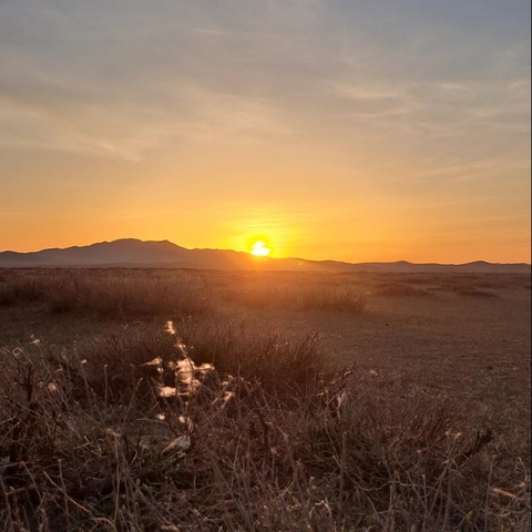 Sunset over a vast Mongolian landscape with grass and mountains.