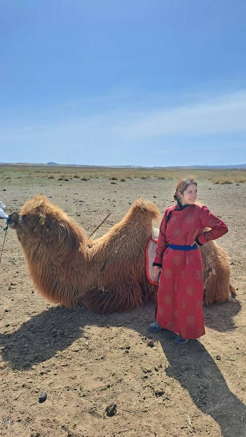 Person in traditional attire standing next to a camel in a grassy field.