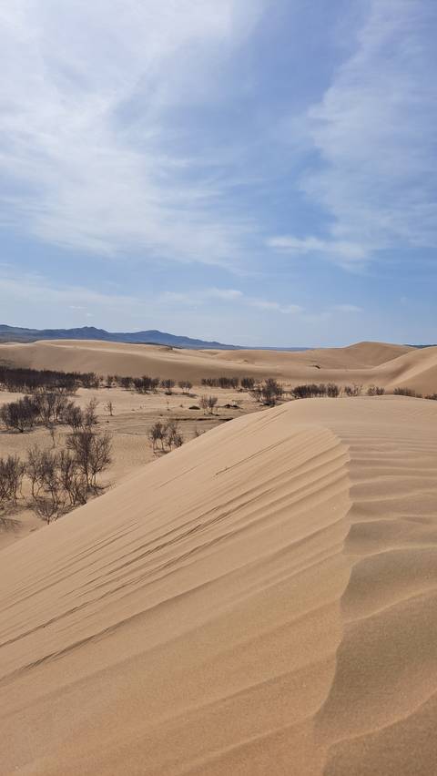 Sand dunes with sparse vegetation under a clear blue sky.