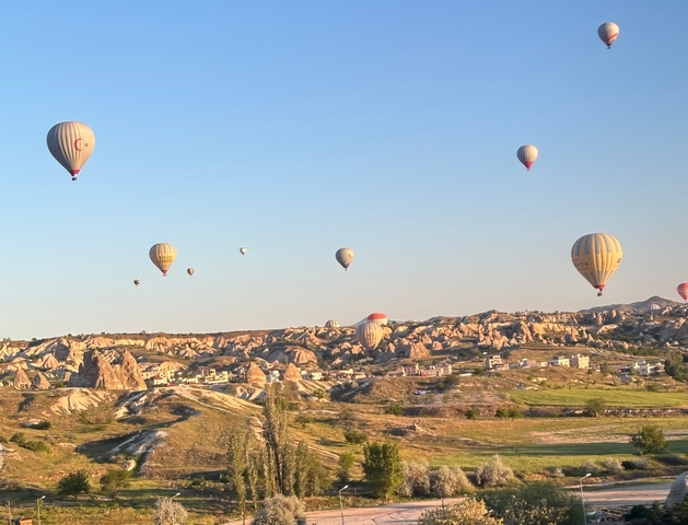       Landscape with numerous hot air balloons in the sky.
  