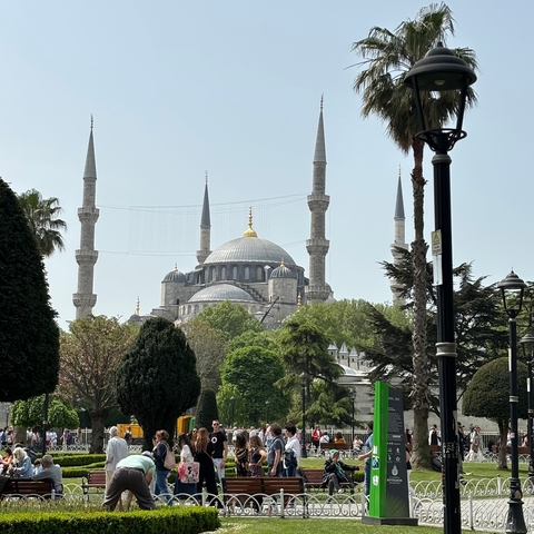       Blue Mosque with trees in the foreground.
  
