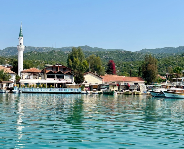 Small coastal town with a mosque and boats.