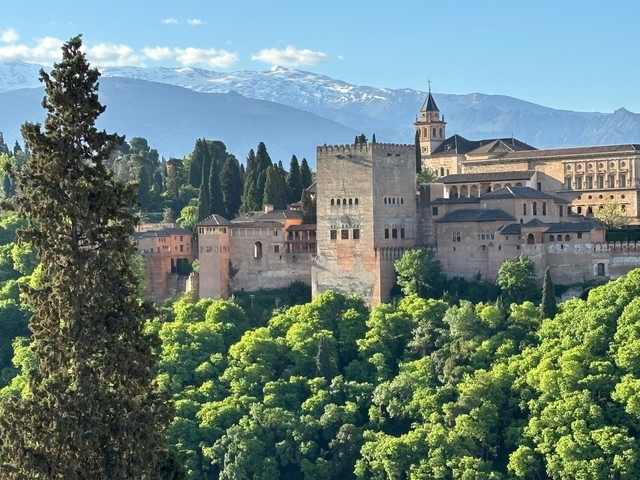       Alhambra in Granada surrounded by trees with mountains in the background.
  