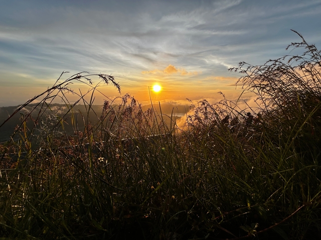 Sunrise over a field with dewy grass.