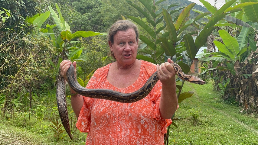 A person holding a large snake in a tropical environment.