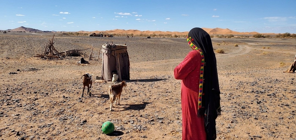 A person with goats in a desert landscape.