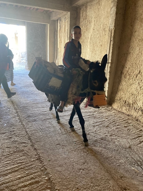 A person on a donkey carrying goods through an archway.
