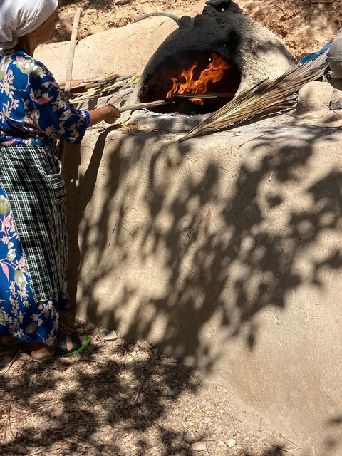 Shadow of foliage on a earthen wall.