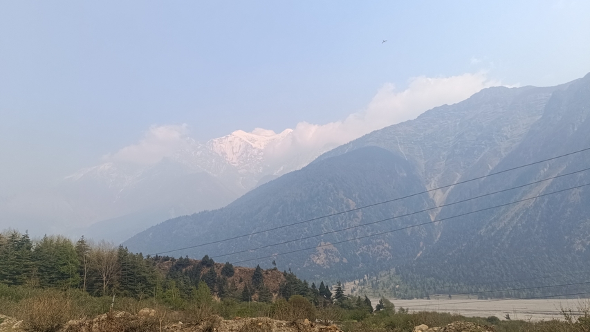       Hazy mountain landscape with some trees.
  