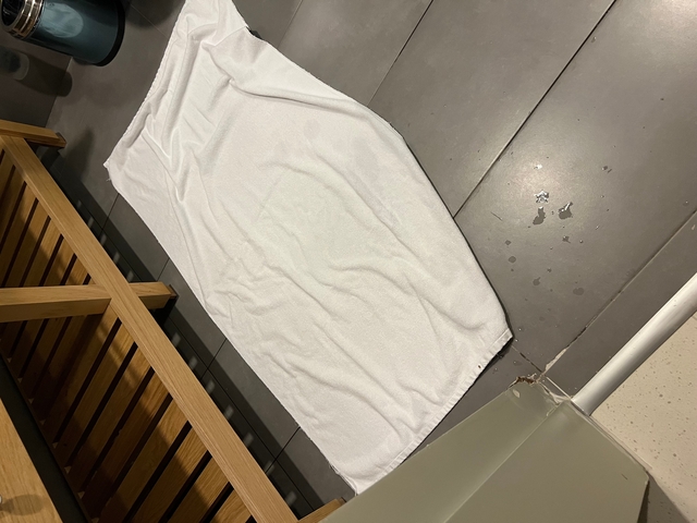       A towel on the floor.
  