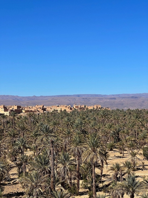       Landscape view of a village with palm trees.
  