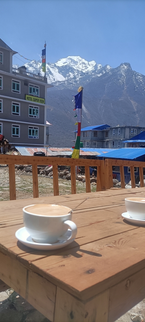 A view from a terrace showing buildings with colorful roofs and a person walking a cow.
