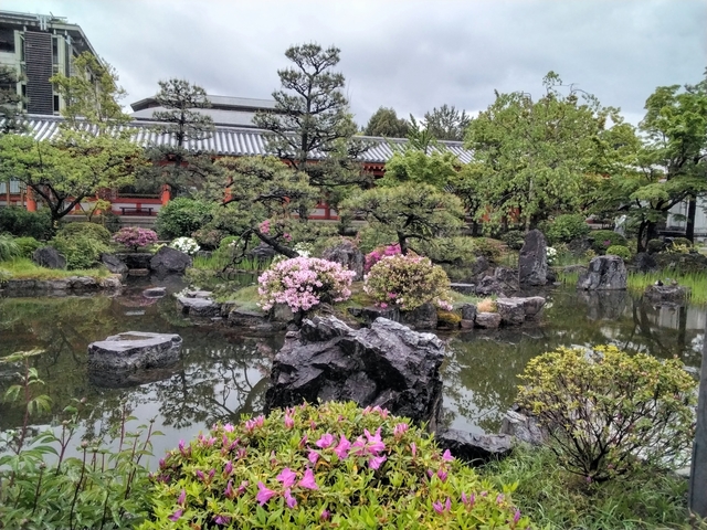 Traditional Japanese garden with blooming flowers and rocks.