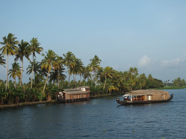 Traditional houseboats on a river with palm trees lining the banks.