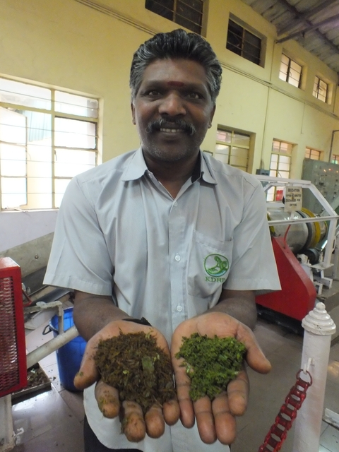 Man showing an object inside a tea factory.
