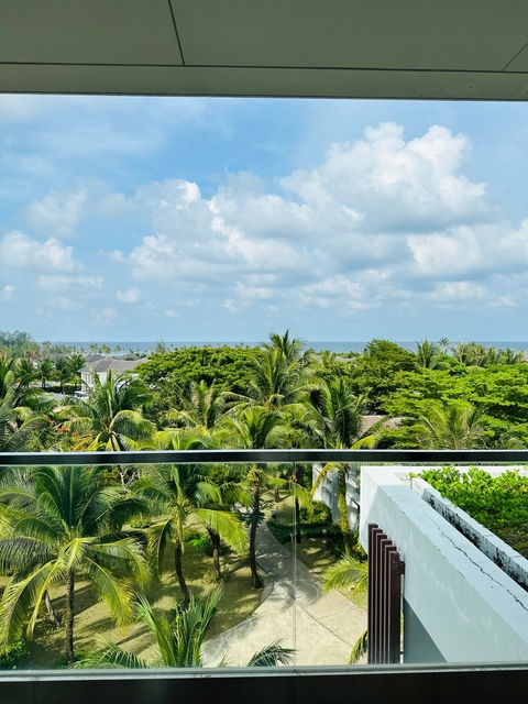       View of a tropical landscape with palm trees and ocean in the background.
  