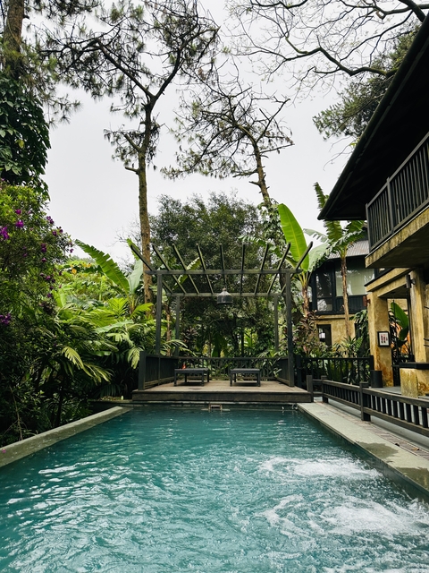 Outdoor seating area surrounded by tropical plants.