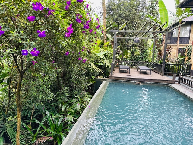       Swimming pool with deck chairs and lush garden.
  