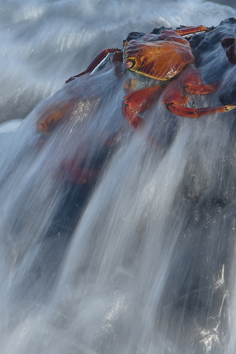       Blurry image of water and indistinct objects.
  