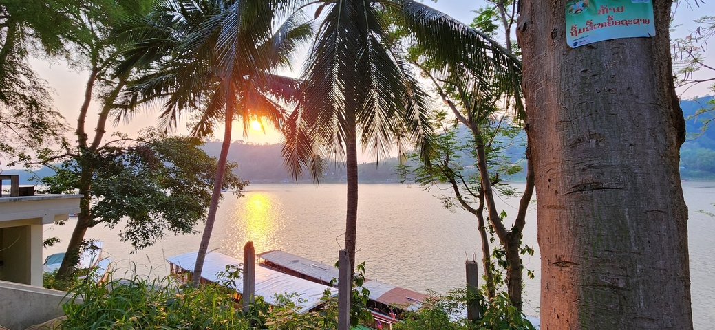 Palm trees and sunset over water.