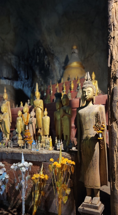 Numerous golden Buddha statues inside a temple.