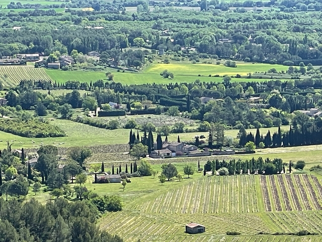 Expansive view of a lush green valley with trees.