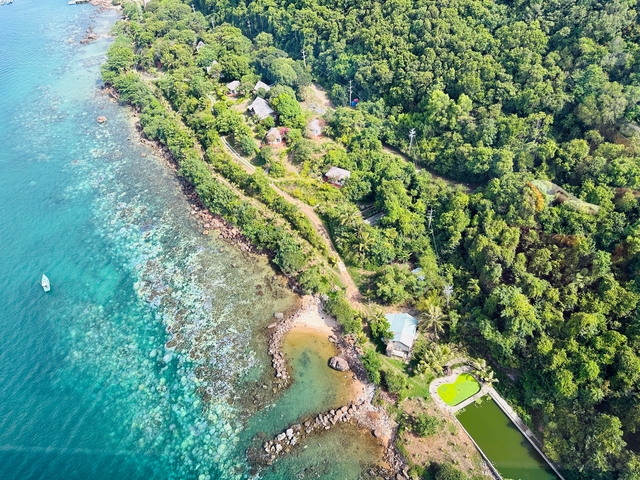       Aerial view of coastline with lush forest and clear water.
  