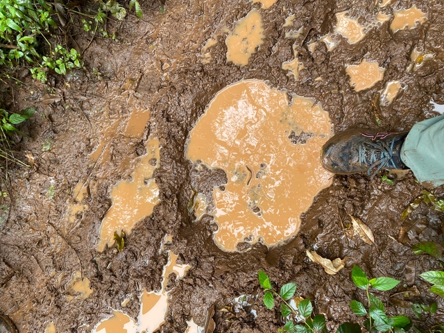       Close-up view of muddy ground with a foot on the edge.
  