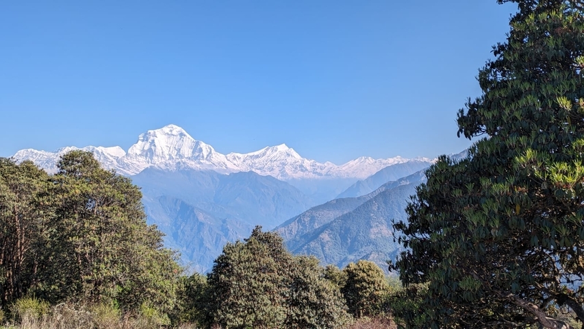 Snow-capped mountains with a clear blue sky.