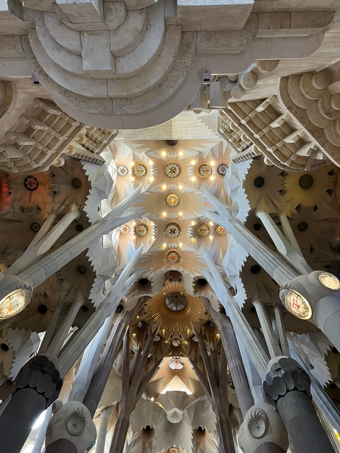       Ceiling of a grand architectural structure with intricate design.
  
