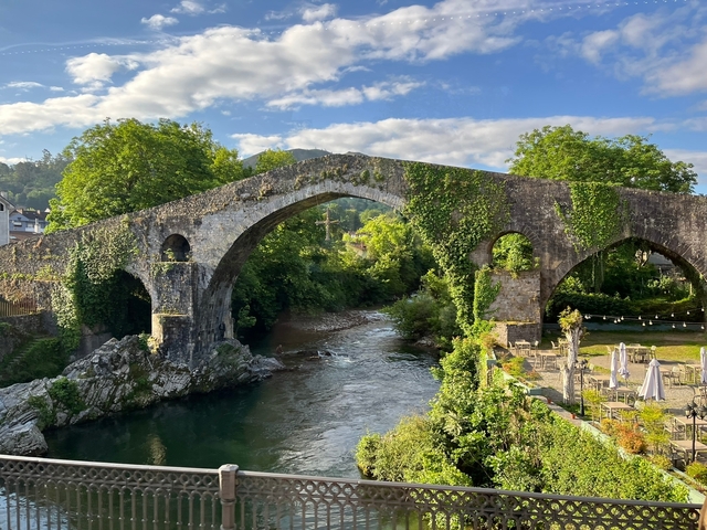       Ancient stone bridge over a calm river.
  
