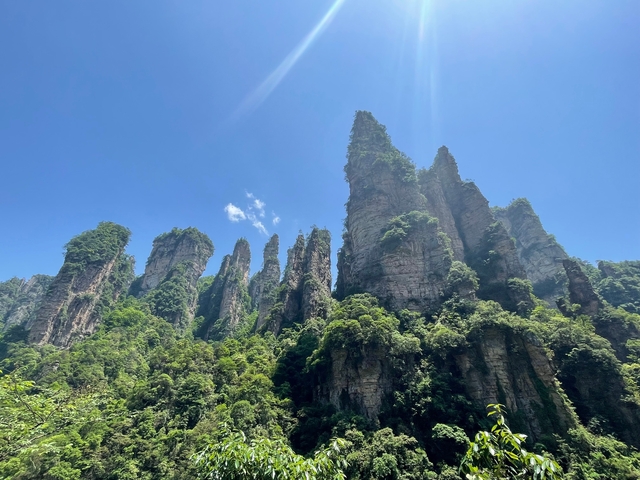 Tall stone pillars surrounded by green forest.