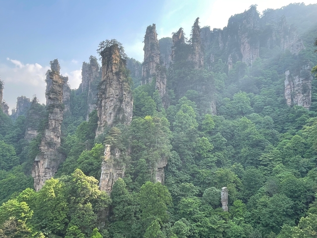       Tall, slender, rocky peaks covered with dense greenery.
  