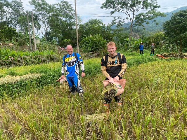 Tourists harvesting rice in traditional clothing