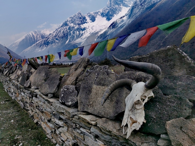       Prayer flags and engraved rocks with a mountain backdrop
  