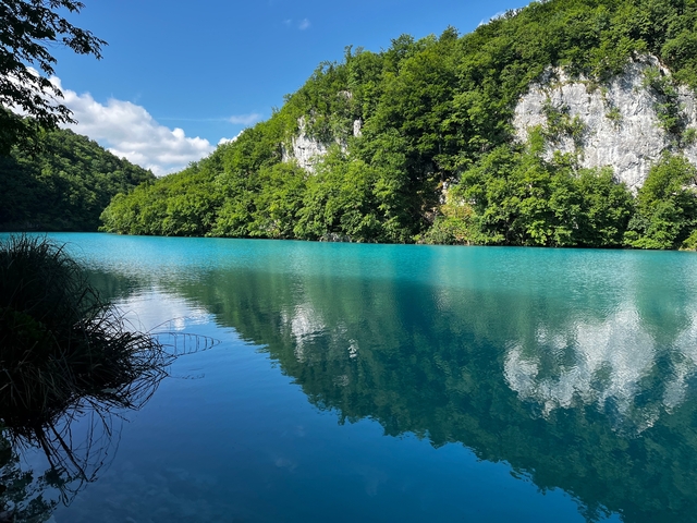       Crystal clear blue lake surrounded by lush green forest.
  