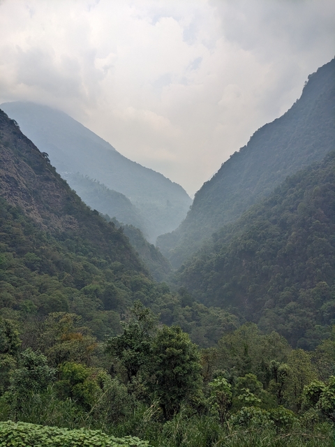       Lush green valley with mist-covered mountains.
  