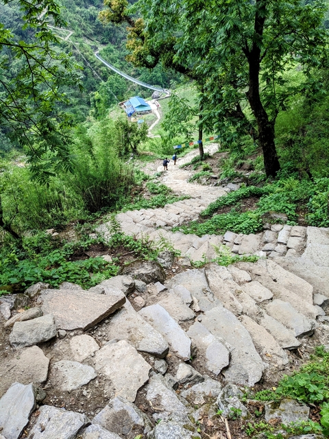       Stone steps leading through a forested area with people walking.
  
