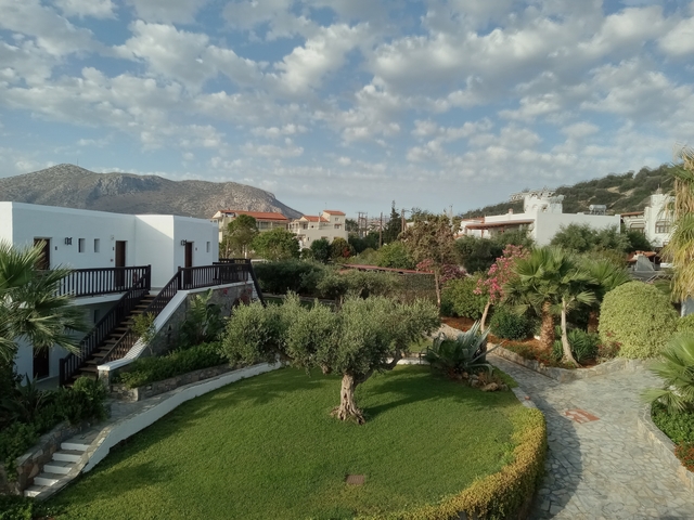       Garden and buildings with mountains in the background.
  