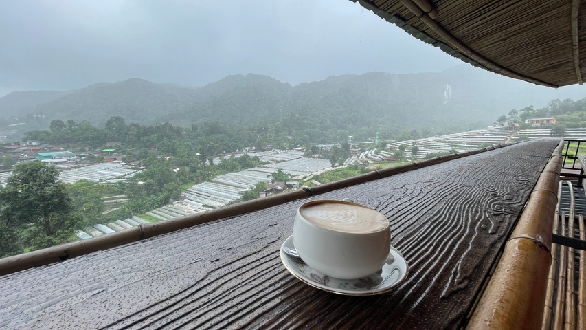       Cup of coffee overlooking a foggy valley and greenhouses.
  