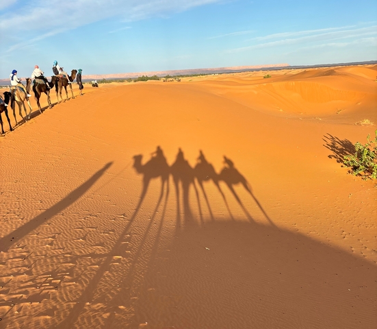 Silhouette of camels and riders on sandy dunes during sunset.