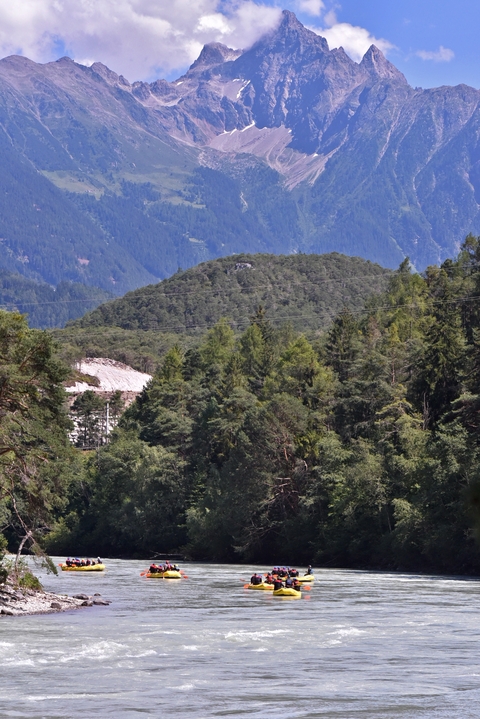 Dense green forest with mountains in the background.