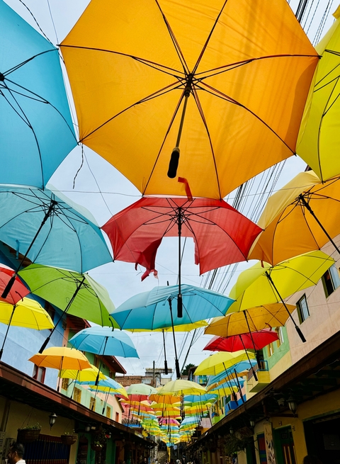       Colorful umbrellas hanging in the air creating a canopy.
  