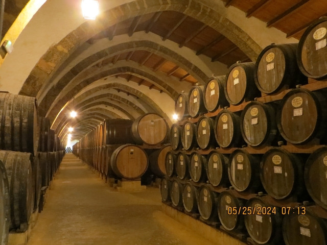       Interior of a wine cellar with barrels.
  
