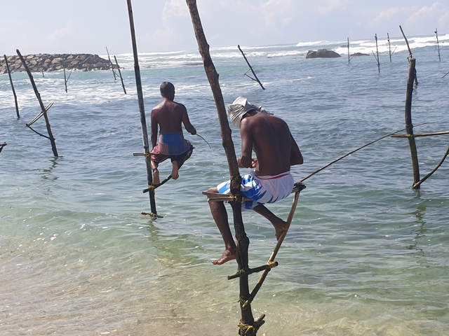Fishermen engaged in stilt fishing in the ocean.