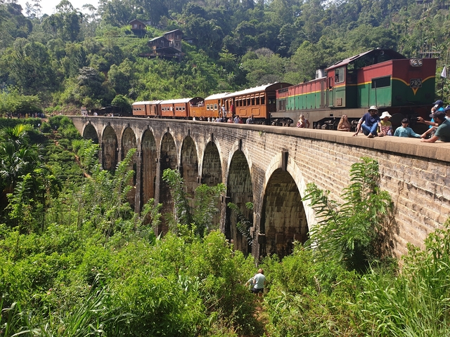       Historic train crossing a tall bridge over greenery.
  