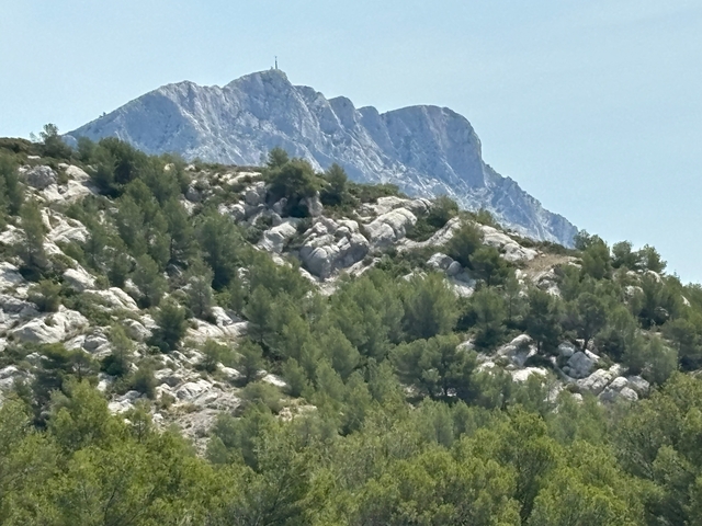 Rocky mountain with dense green trees.