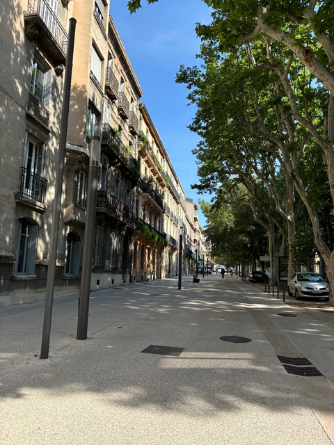 An empty tree-lined street with classical architecture.